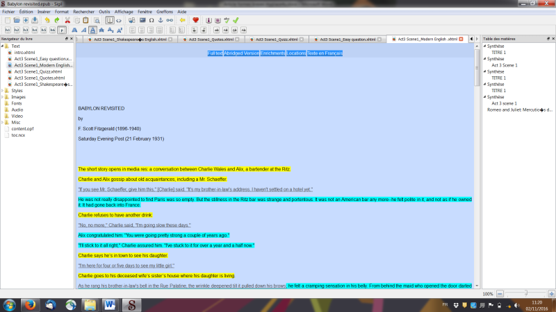 Figure 1 - Color-coded abridged version of the story 