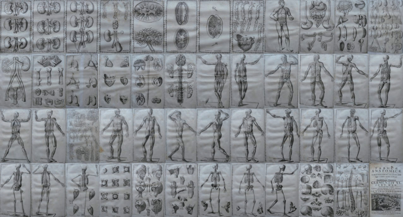 Fig. 2. Série des Tabulae Anatomicae d’Eustache, Rome, 1714 (collection particulière)